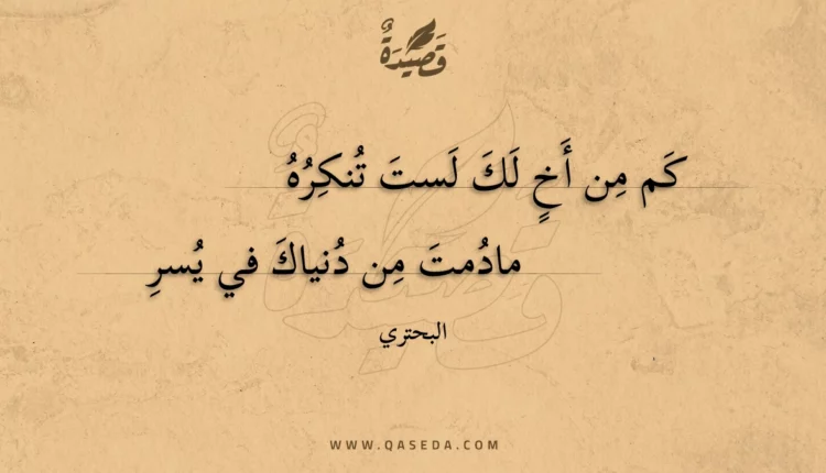 قصيدة كم من أخ لك لست تنكره