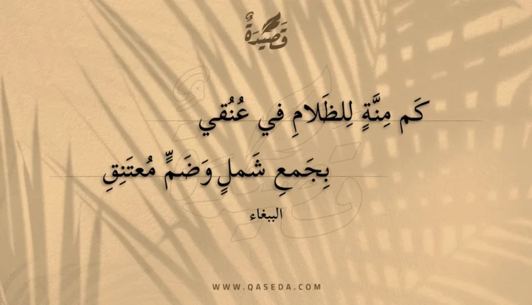 قصيدة كم منة للظلام في عنقي