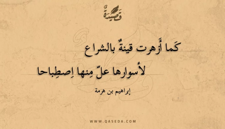 قصيدة كما أزهرت قينة بالشراع