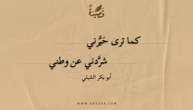 قصيدة كما ترى حيرني