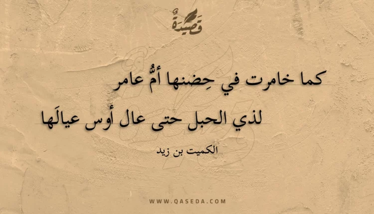 قصيدة كما خامرت في حضنها أم عامر