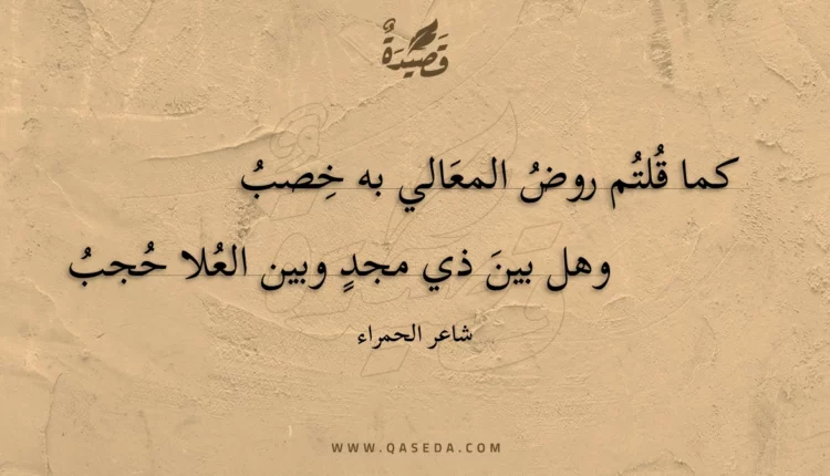 قصيدة كما قلتم روض المعالي به خصب