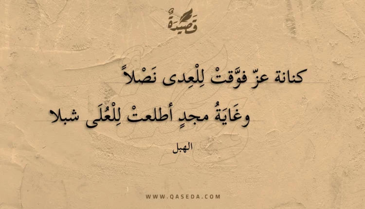 قصيدة كنانة عز فوقت للعدى نصلا