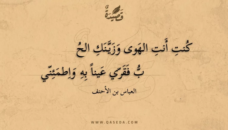 قصيدة كنت أنت الهوى وزينك الحب