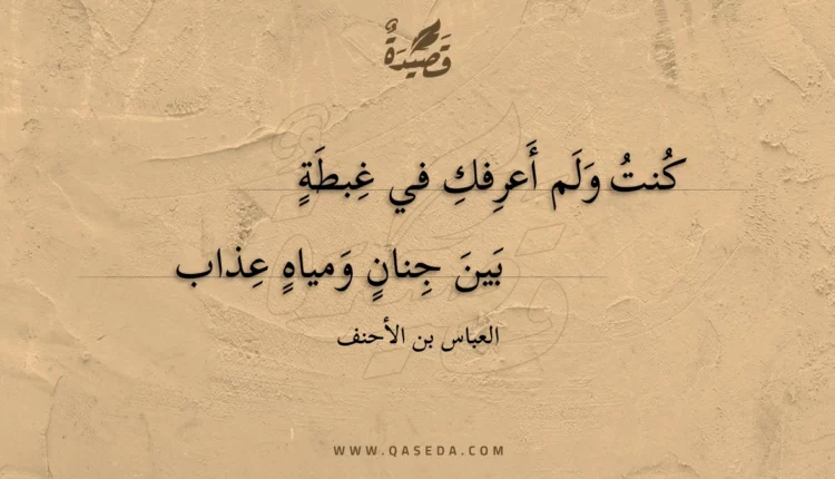 قصيدة كنت ولم أعرفك في غبطة
