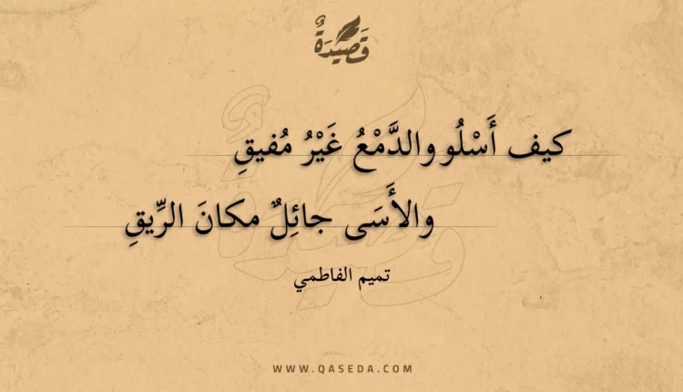 قصيدة كيف أسلو والدمع غير مفيق