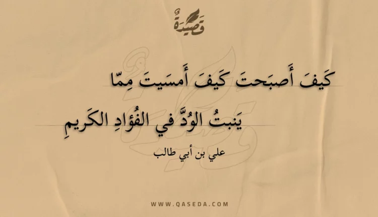 قصيدة كيف أصبحت كيف أمسيت مما
