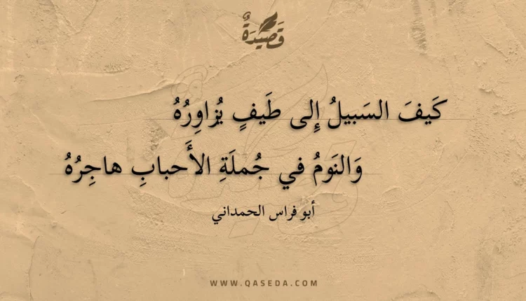 قصيدة كيف السبيل إلى طيف يزاوره