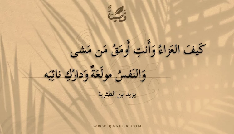 قصيدة كيف العزاء وأنت أومق من مشى
