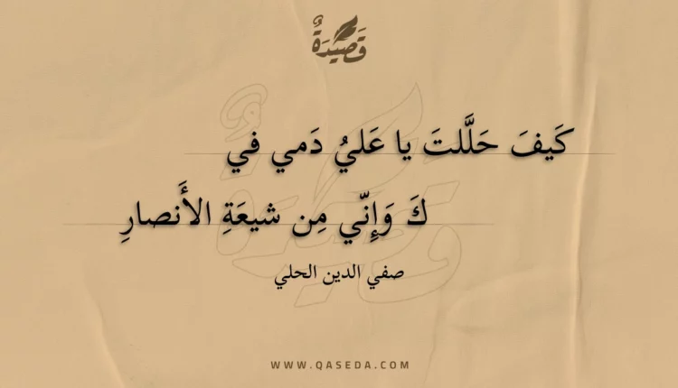 قصيدة كيف حللت يا علي دمي فيك