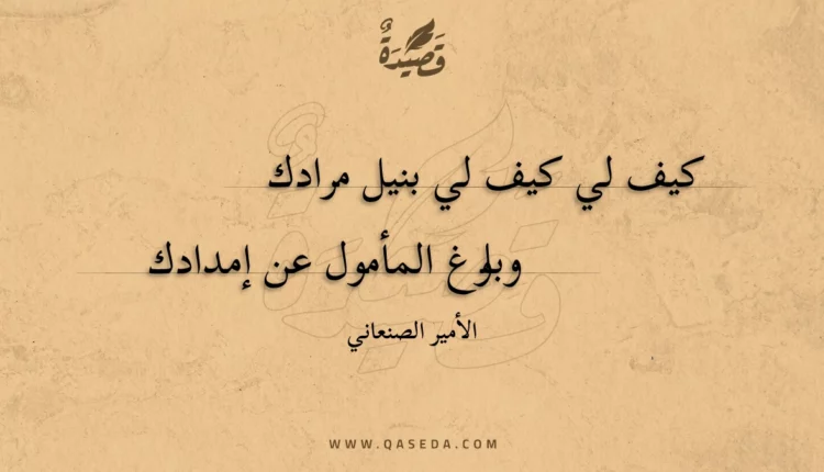 قصيدة كيف لي كيف لي بنيل مرادك