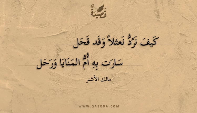 قصيدة كيف نرد نعثلا وقد قحل