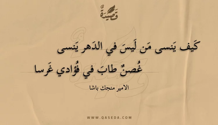 قصيدة كيف ينسى من ليس في الدهر ينسى