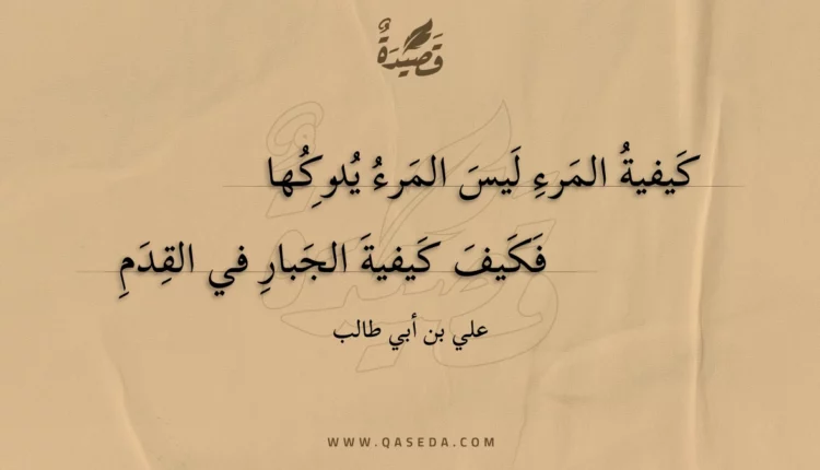 قصيدة كيفية المرء ليس المرء يدركها