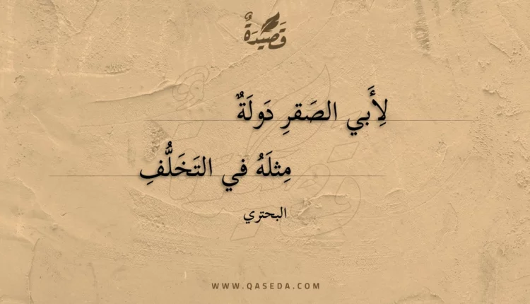 قصيدة لأبي الصقر دولة
