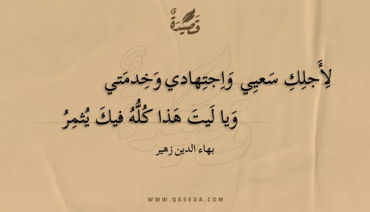 قصيدة لأجلك سعيي واجتهادي وخدمتي