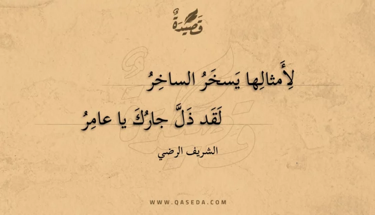 قصيدة لأمثالها يسخر الساخر