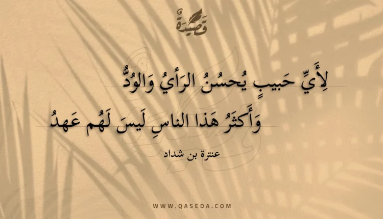 قصيدة لأي حبيب يحسن الرأي والود