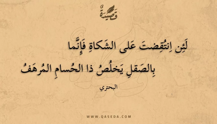 قصيدة لئن انتقضت على الشكاة فإنما
