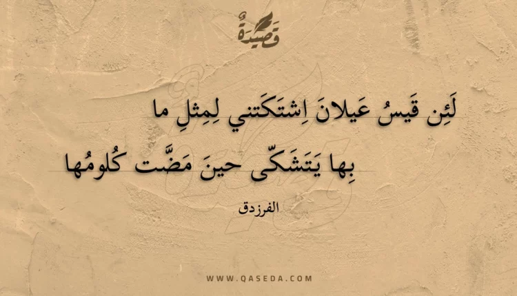 قصيدة لئن قيس عيلان اشتكتني لمثل ما
