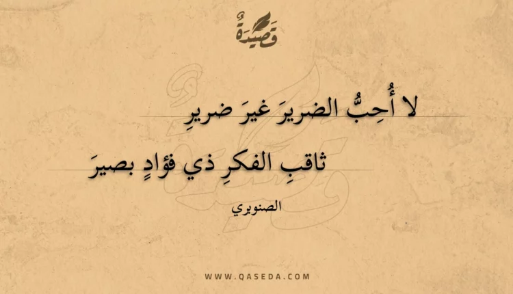 قصيدة لا أحب الضرير غير ضرير