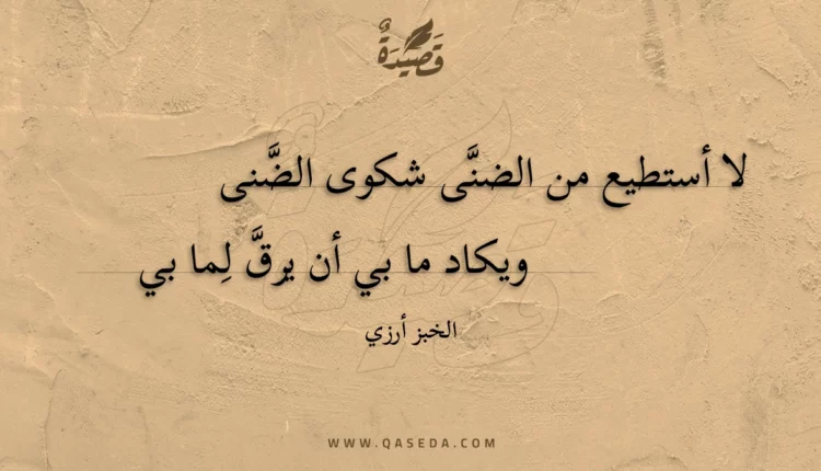 قصيدة لا أستطيع من الضنى شكوى الضنى