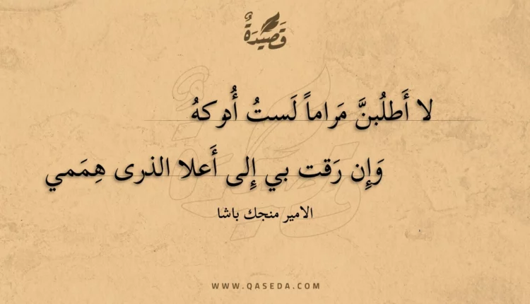 قصيدة لا أطلبن مراما لست أدركه