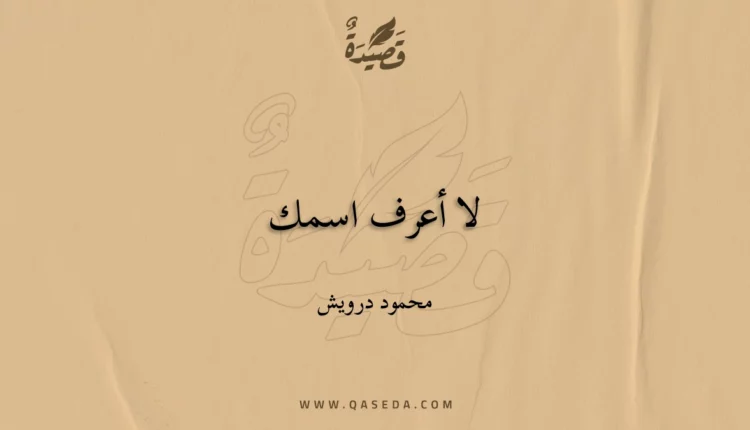 قصيدة لا أعرف اسمك
