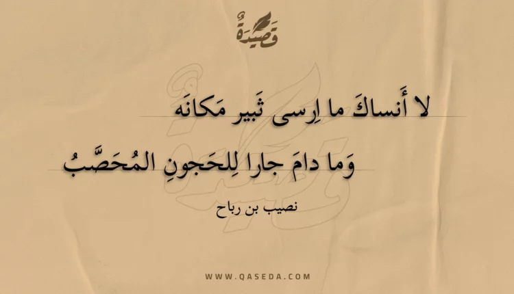 قصيدة لا أنساك ما ارسى ثبير مكانه