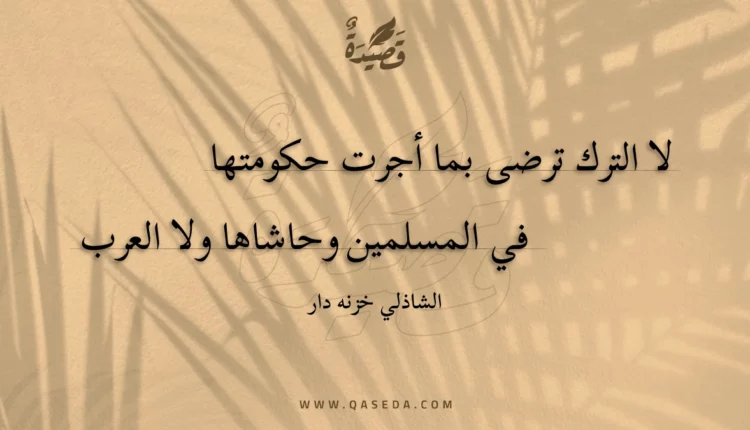 قصيدة لا الترك ترضى بما أجرت حكومتها