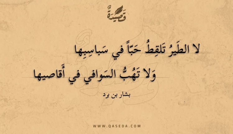 قصيدة لا الطير تلقط حبا في سباسبها