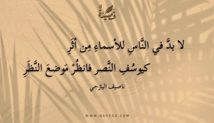قصيدة لا بد في الناس للأسماء من أثر