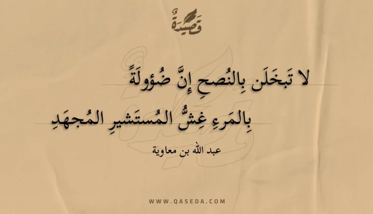 قصيدة لا تبخلن بالنصح إن ضؤولة