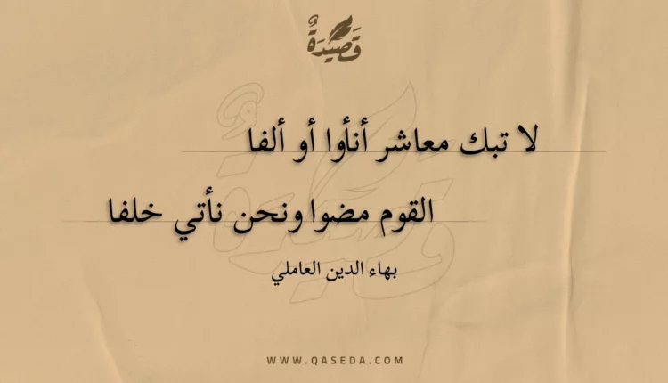 قصيدة لا تبك معاشر أنأوا أو ألفا