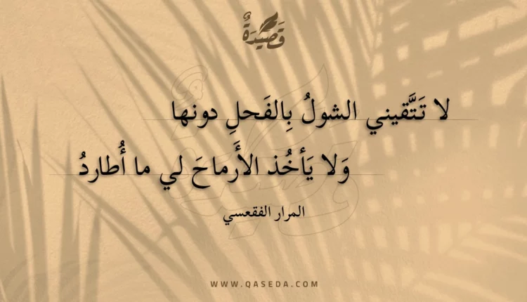 قصيدة لا تتقيني الشول بالفحل دونها