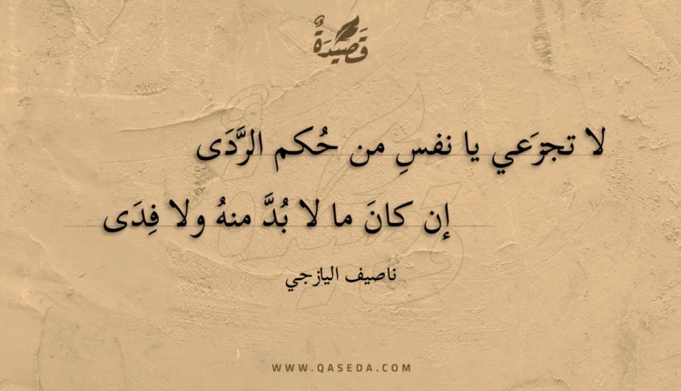 قصيدة لا تجزعي يا نفس من حكم الردى