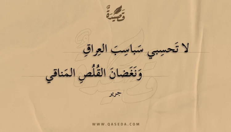 قصيدة لا تحسبي سباسب العراق