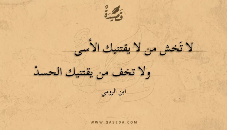 قصيدة لا تخش من لا يقتنيك الأسى