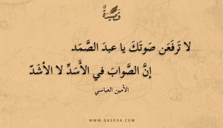 قصيدة لا ترفعن صوتك يا عبد الصمد