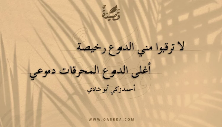 قصيدة لا ترقبوا مني الدموع رخيصة