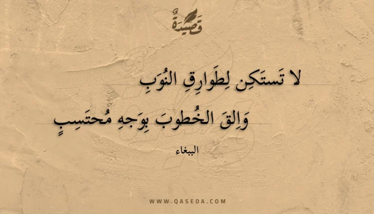 قصيدة لا تستكن لطوارق النوب