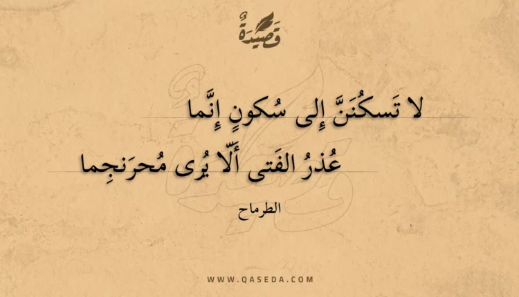 قصيدة لا تسكنن إلى سكون إنما