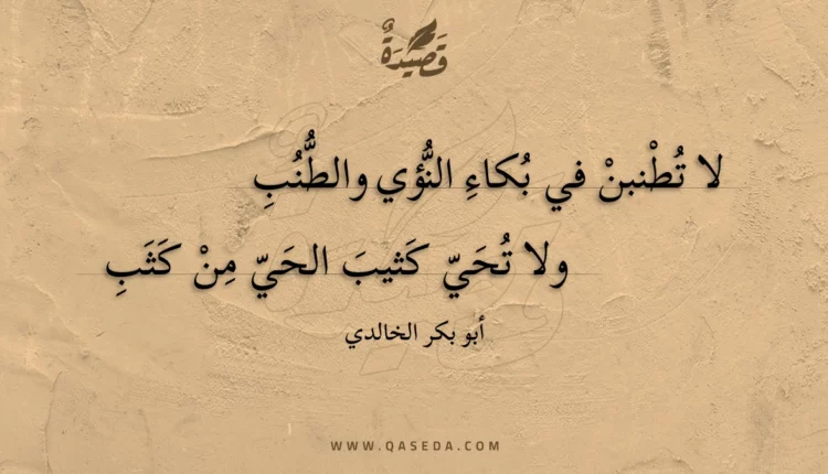 قصيدة لا تطنبن في بكاء النؤي والطنب