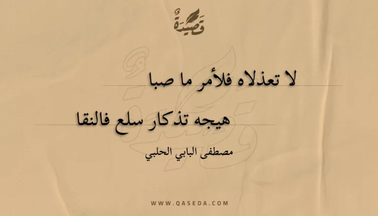 قصيدة لا تعذلاه فلأمر ما صبا