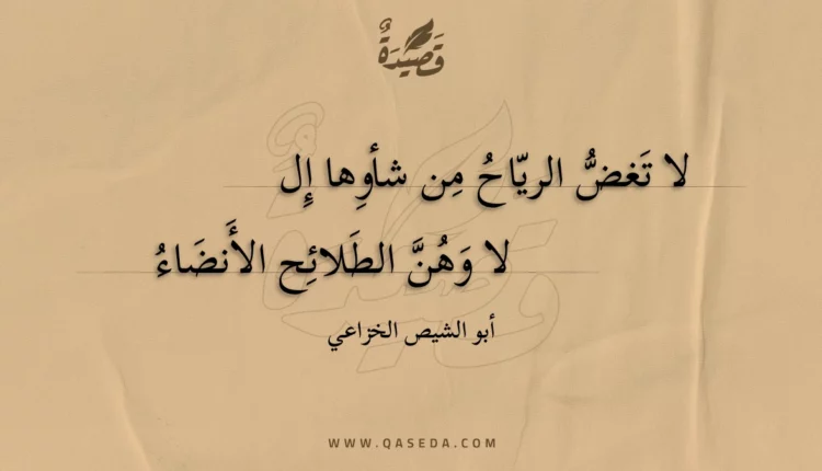 قصيدة لا تغض الرياح من شأوها إلا