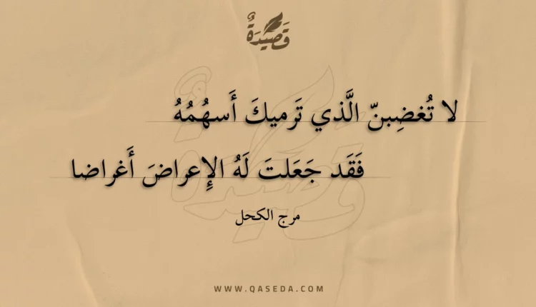 قصيدة لا تغضبن الذي ترميك أسهمه