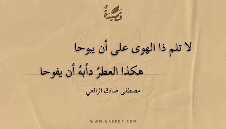 قصيدة لا تلم ذا الهوى على أن يبوحا