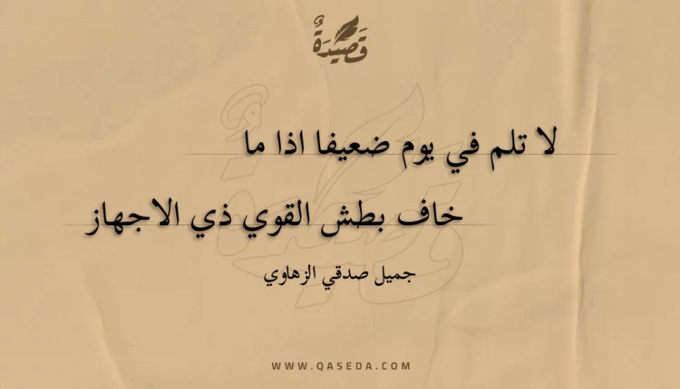 قصيدة لا تلم في يوم ضعيفا اذا ما