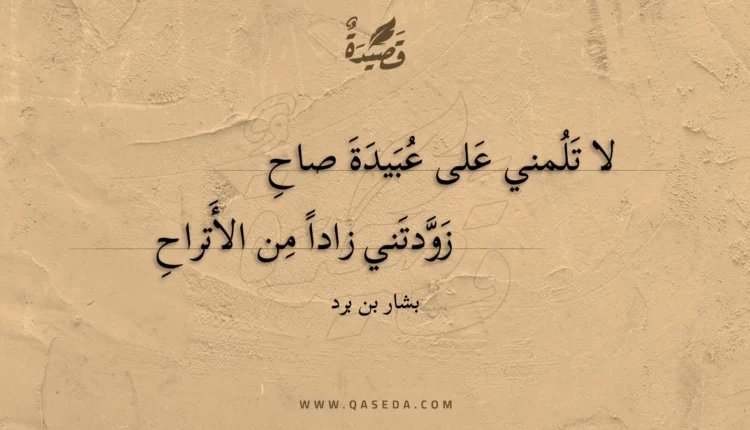 قصيدة لا تلمني على عبيدة صاح