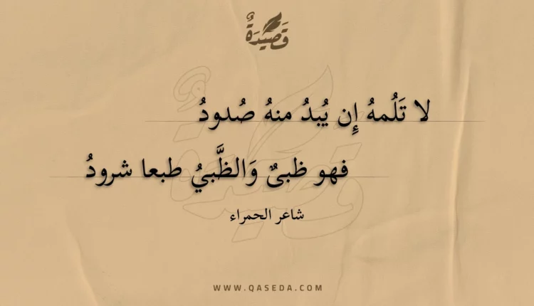 قصيدة لا تلمه إن يبد منه صدود